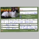 QSL-PH9X-20071111-1012-3MHz-80m-PSK31-01.gif